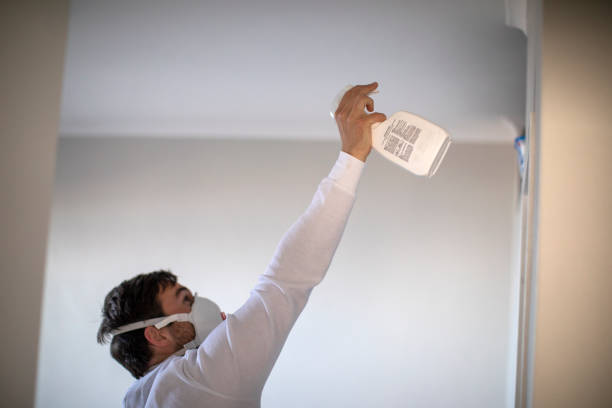 Best Emergency Mold Removal  in Greenup, KY