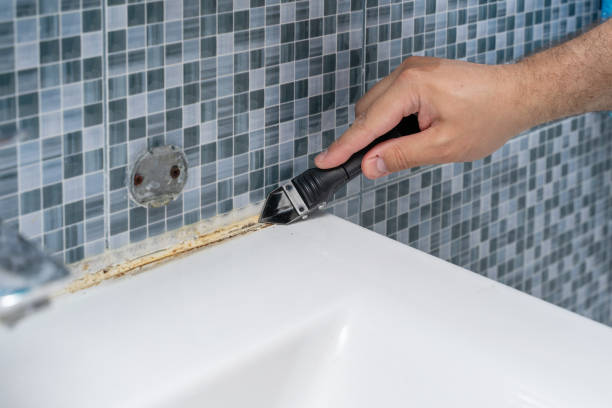 Best Fast Mold Removal  in Greenup, KY