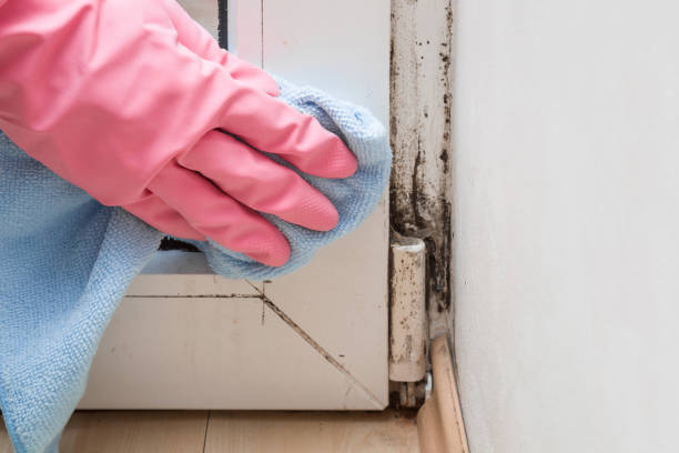 Water Damage Restoration in Greenup, KY